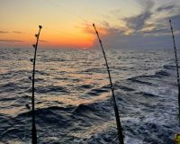 510032134 3127054134124540 n