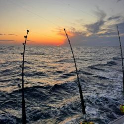 510032134 3127054134124540 n