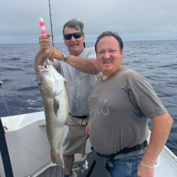 516828466 3149075528589067 n