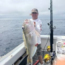 518354276 3149075648589055 n