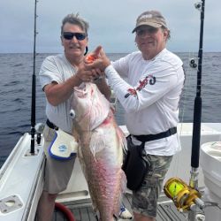 519070500 3149075531922400 n