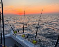 525454669 18323218615227400 n