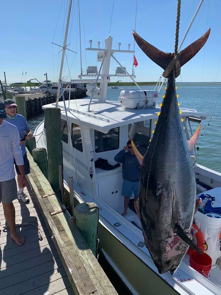 Home | Captain Dave's Beach Haven - LBI Fishing Charters